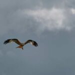 daily-hints-for-you-006