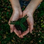 Environment-&-Sustainability-in-Australia-daily-hints-for-you 1