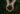Environment-&-Sustainability-in-Australia-daily-hints-for-you 1