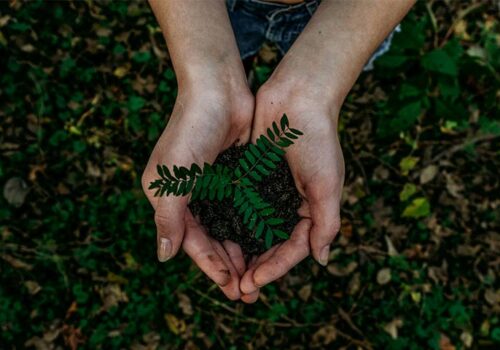 Environment-&-Sustainability-in-Australia-daily-hints-for-you 1