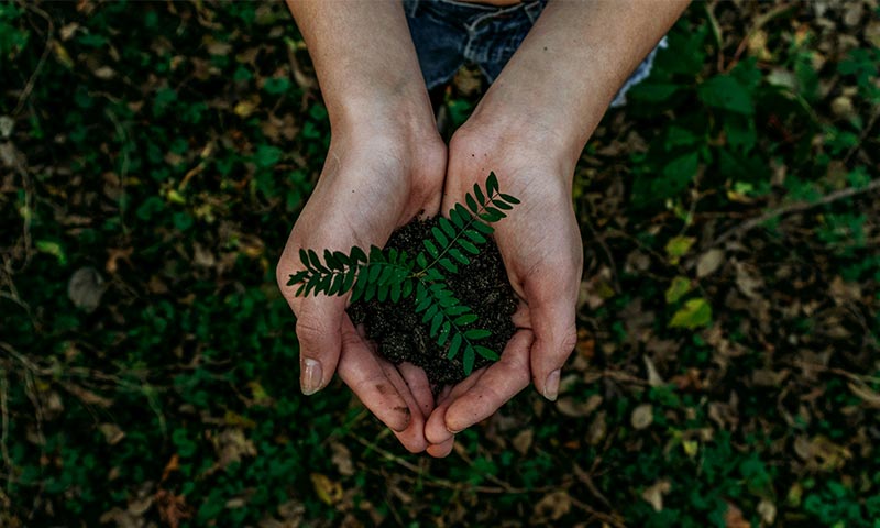 Environment-&-Sustainability-in-Australia-daily-hints-for-you 1