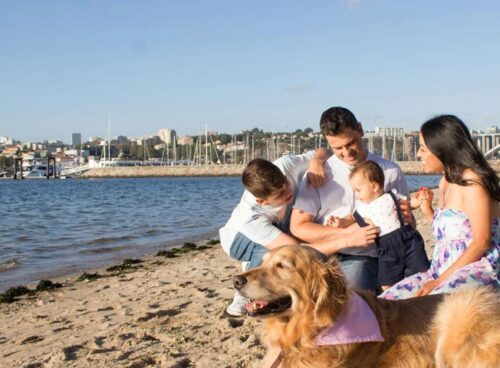 Family-Friendly-Activities-Across-Australia daily-hints-for-you-min