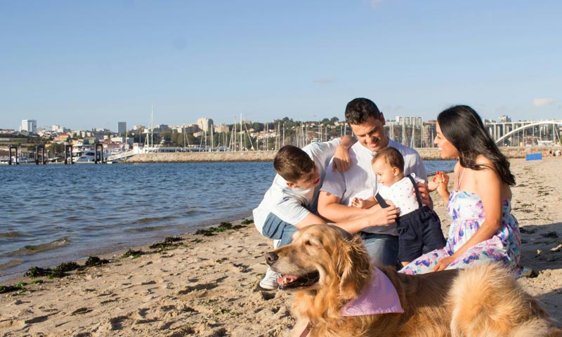 Family-Friendly-Activities-Across-Australia daily-hints-for-you-min